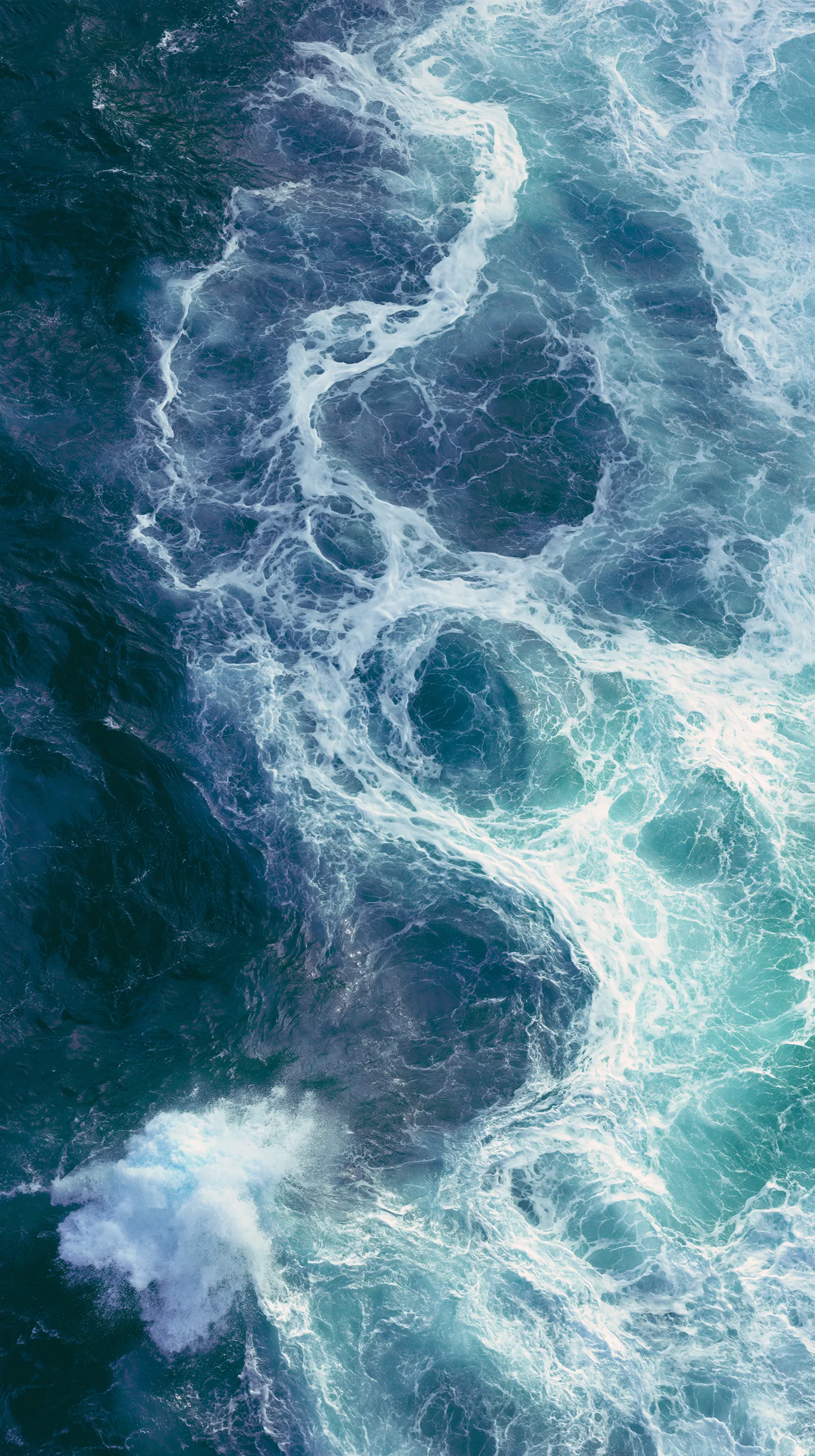 An aerial view of deep water as one connected surface: the shared network through which a society, like a forest, holds a common climate.